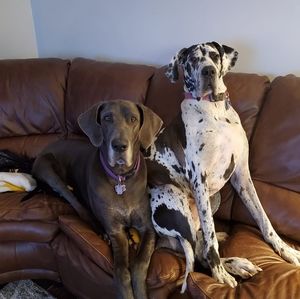 Meet your Posher, Crystal